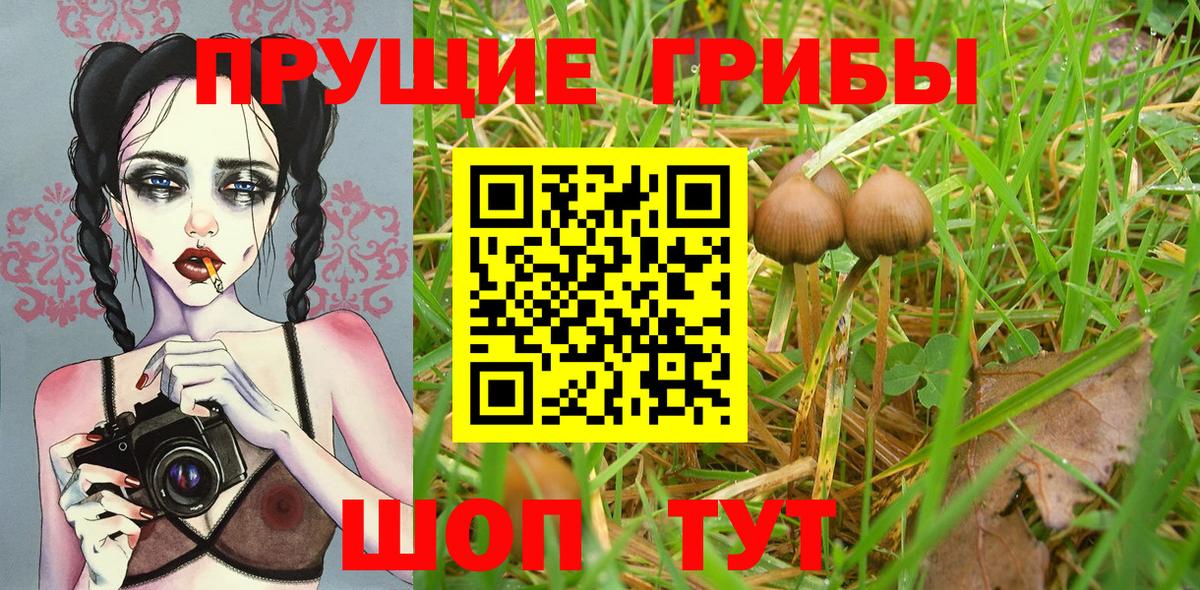 Галлюциногенные грибы прущие грибы  Вход с VPN  Галлюциногенные грибы GOLDEN TEACHER  Анжеро-Судженск 